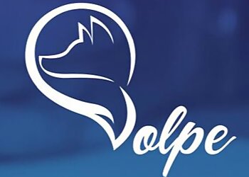 Oakville financial service Volpe Financial Solutions