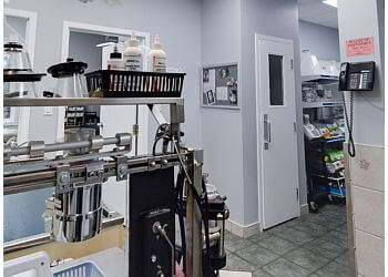 Waterloo Cliniques Vétérinaires Waterloo West Animal Hospital