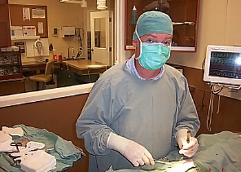 Welland veterinary clinic Welland Animal Hospital