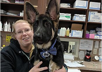 St Catharines Cliniques Vétérinaires Wilson's Animal Hospital