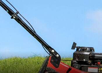 Milton lawn care service Wolfgreen Lawn Service