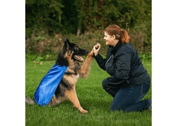 Newmarket dog trainer Wag Awhile Doggie Daycare