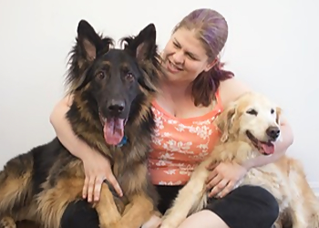 Wag Awhile Doggie Daycare Wag Awhile Doggie Daycare - Newmarket, ON Dog Trainers - Dog Trainer Image