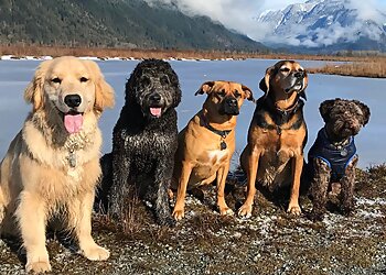 Maple Ridge dog trainer WagMore Training