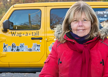 Wag a Tail - Mississauga, ON Promeneurs De Chiens - Professional Highlights