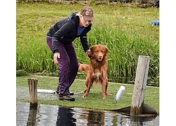 Red Deer dog trainer Waggles Academy For Dogs Inc.