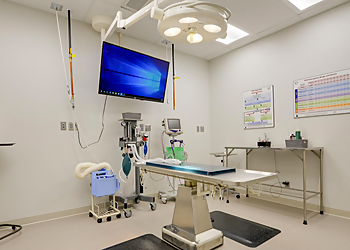 Walker Road Animal Hospital - Windsor, ON Veterinary Clinics - Medical Procedure Image