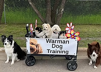 Saskatoon Dresseurs De Chiens Warman Dog Training