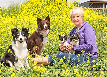 Saskatoon Dog Trainers Warman Dog Training