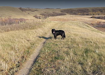 Regina Hiking Trails Wascana Trails