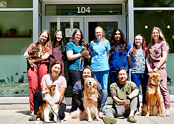 Waterfront Park Veterinary Clinic - North Vancouver, BC Veterinary Clinics - Doctor With Patient Image