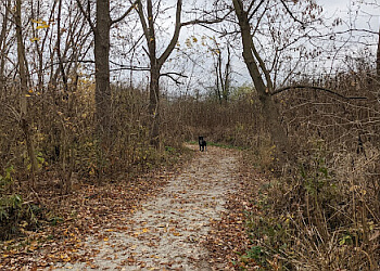 Sarnia Sentiers De Randonnée Wawanosh Wetlands Conservation Area