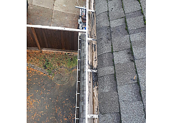 Maple Ridge gutter cleaner We LOVE Pressure Washing & Soft Washing
