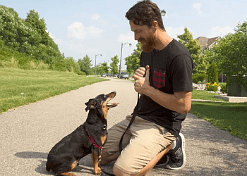 Milton dog trainer We Let The Dogs Out