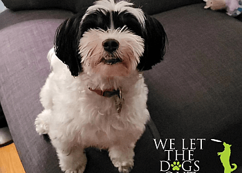 Milton dog trainer We Let The Dogs Out