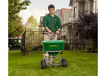 North Bay Service D'Entretien De Pelouse Weed Man