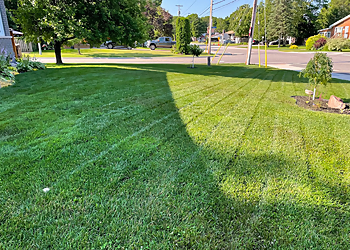 North Bay Service D'Entretien De Pelouse Weed Man