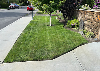 Victoria lawn care service Weed Man Langford