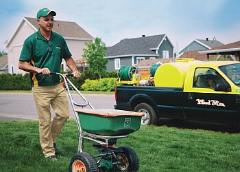 Laval Service D'Entretien De Pelouse Weed Man Laval