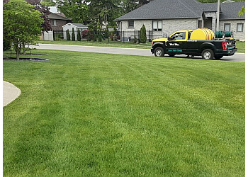 Chilliwack lawn care service Weed Man Lawn Care Chilliwack