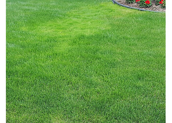 Moncton Service D'Entretien De Pelouse Weed Man Lawn Care Moncton