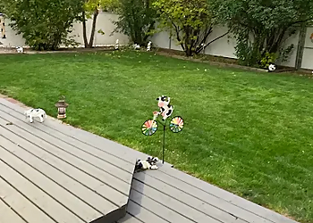 Regina Lawn Care Services Weed Man Lawn Care Regina