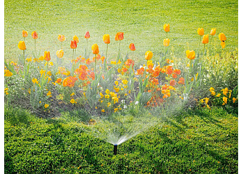 Saskatoon Service D'Entretien De Pelouse Weed Man Lawn Care Saskatoon