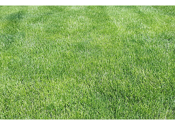 Sudbury Service D'Entretien De Pelouse Weed Man Sudbury