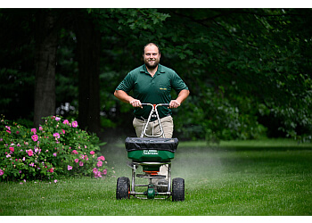 Levis Service D'Entretien De Pelouse Weed Man Lévis