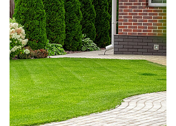 Ottawa lawn care service Weed Man Ottawa
