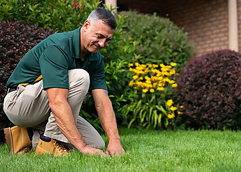 Weed Man Sudbury - Sudbury, ON Service D'Entretien De Pelouse - Service Image