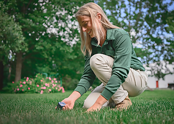 Trois Rivieres Service D'Entretien De Pelouse Weed Man Trois-Rivières