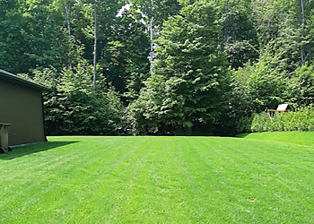 Trois Rivieres lawn care service Weed Man Trois-Rivières
