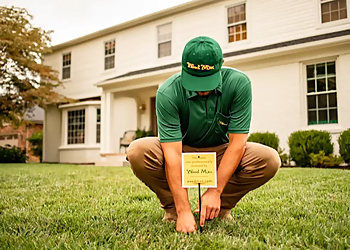 Weed Man Welland - Welland, ON Lawn Care Services - Project Image