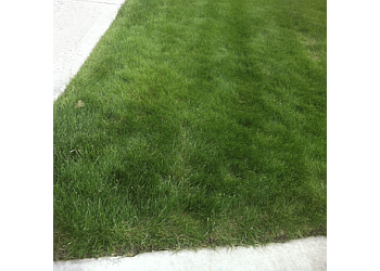 Edmonton Service D'Entretien De Pelouse Weed Patrol Lawn Care