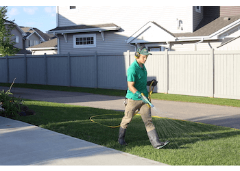 Edmonton Service D'Entretien De Pelouse Weed Patrol Lawn Care