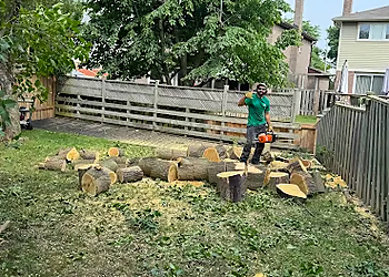 Weir Tree & Stumping Services Inc. - Milton, ON Tree Services - Tree Trimming Image