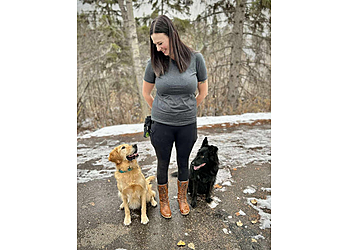 Red Deer dog trainer Well Trained Dogs