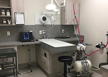 Wellesley Animal Hospital - Toronto, ON Cliniques Vétérinaires - Medical Procedure Image
