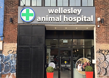Wellesley Animal Hospital - Toronto, ON Cliniques Vétérinaires - Clinic Exterior Image