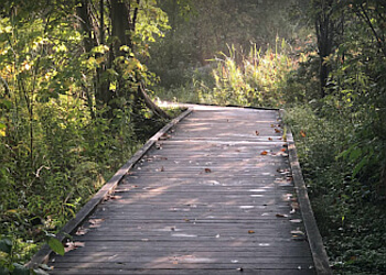Newmarket hiking trail Wesley Brooks Conservation Area