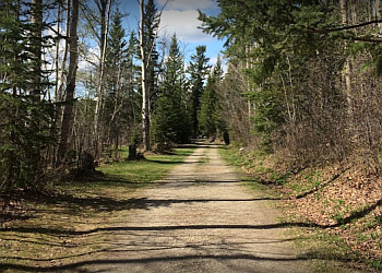 Prince George hiking trail West Lake Provincial Park