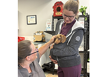 Orangeville veterinary clinic Westend Veterinary Hospital