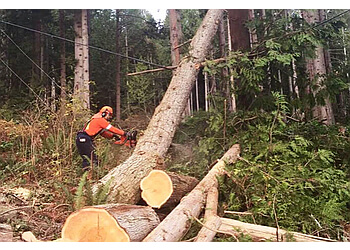 North Vancouver Services d'arboriculteur Western Tree Services