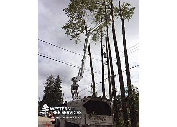 North Vancouver tree service Western Tree Services