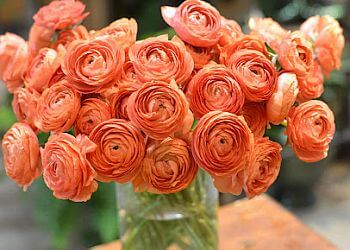 Montreal florist Westmount Florist Inc.