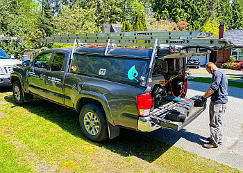 Coquitlam pest control Westside Pest Control Ltd. Coquitlam