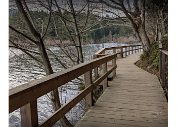 Nanaimo hiking trail Westwood Lake Park