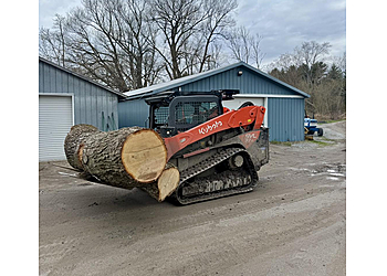 Kingston Services d'arboriculteur Westwood Tree Services