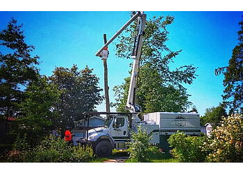 Kingston tree service Westwood Tree Services image 1